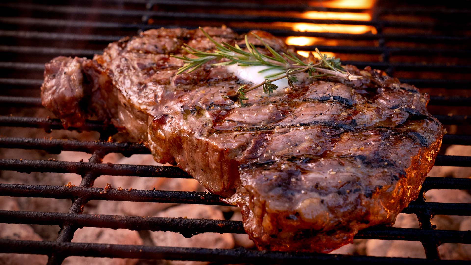 Backyard Living: Perfecting your next ribeye steak and ...