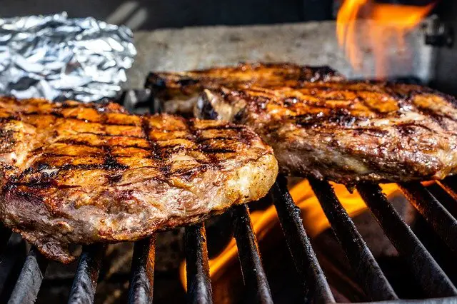 Best Gas Grill for Searing Steaks