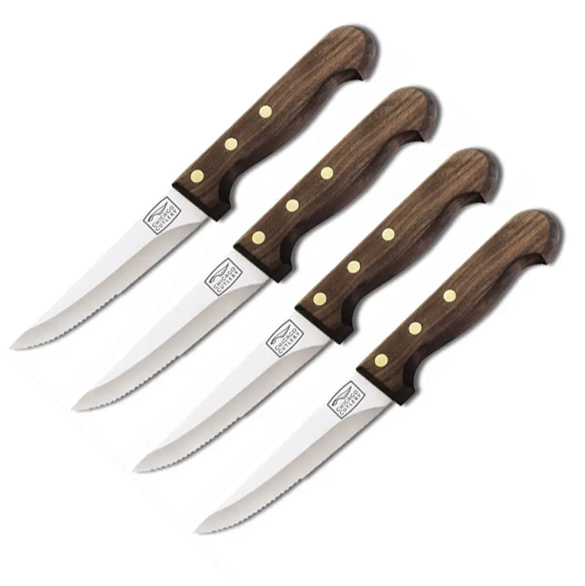 C43898 Chicago Cutlery Basics Series 4 Piece Steak Knife Set