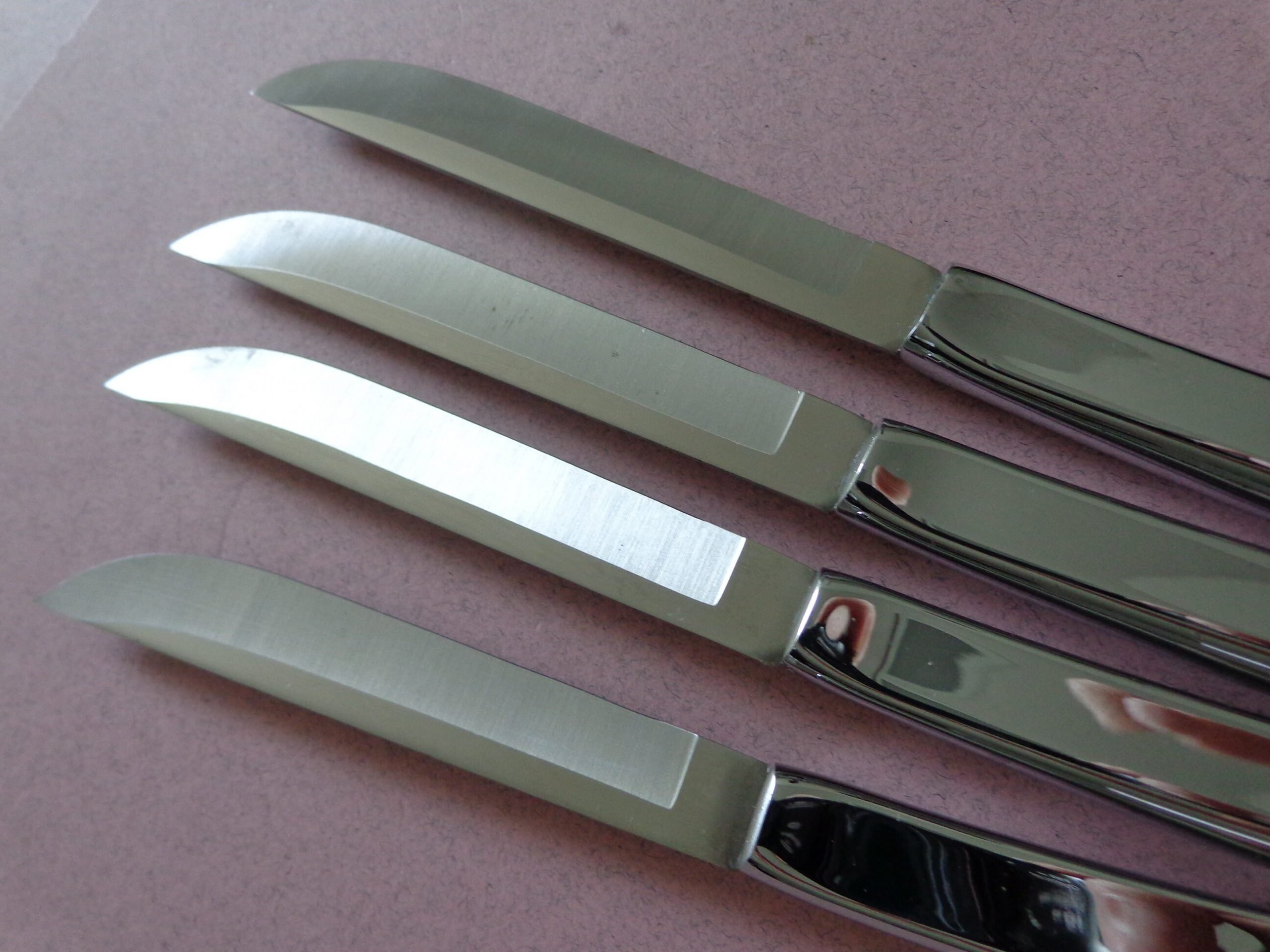 Carvel Hall Steak Knife Set in Box, 4 Stainless Knives, Silver handles ...