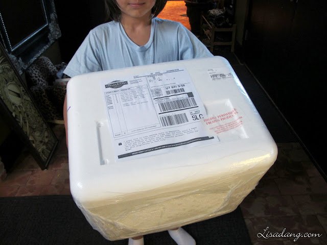 Dang It Delicious: Omaha Steaks shipping cooler arrives!