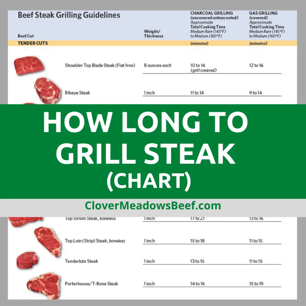 How Long to Grill Steak (Chart &  Video)