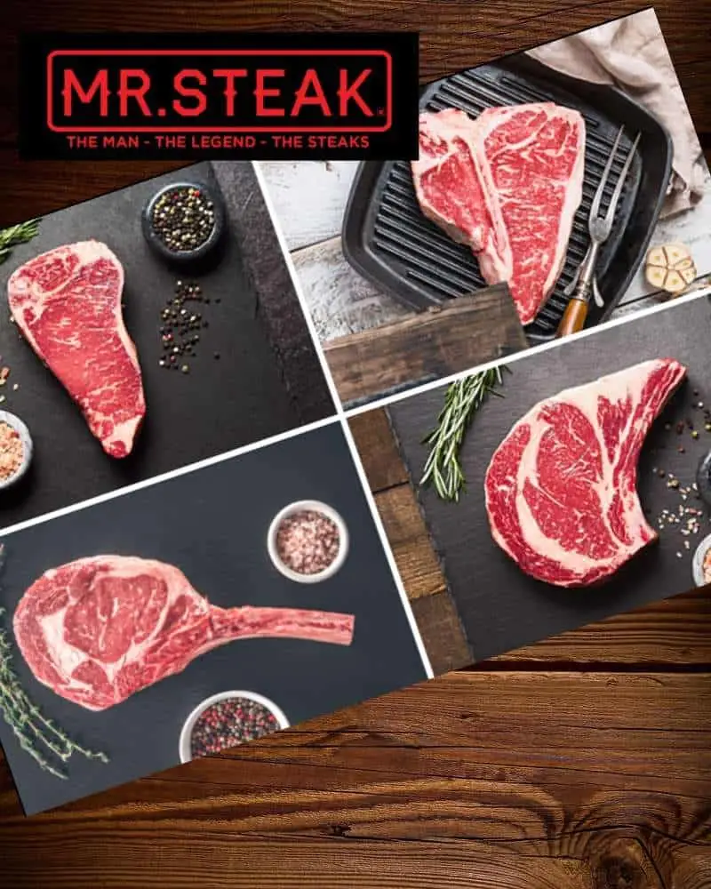 Mr.Steak Review and Giveaway
