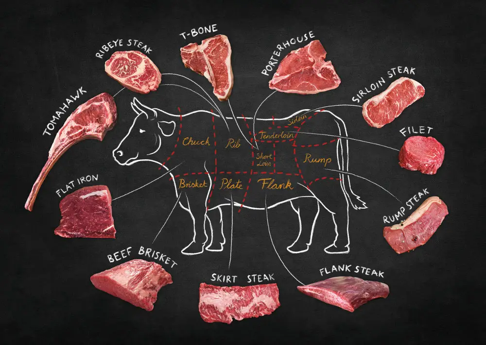 Ottos Steak Chart: 12 Beef Cuts You Should Know
