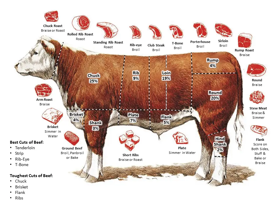 Pin on Beef