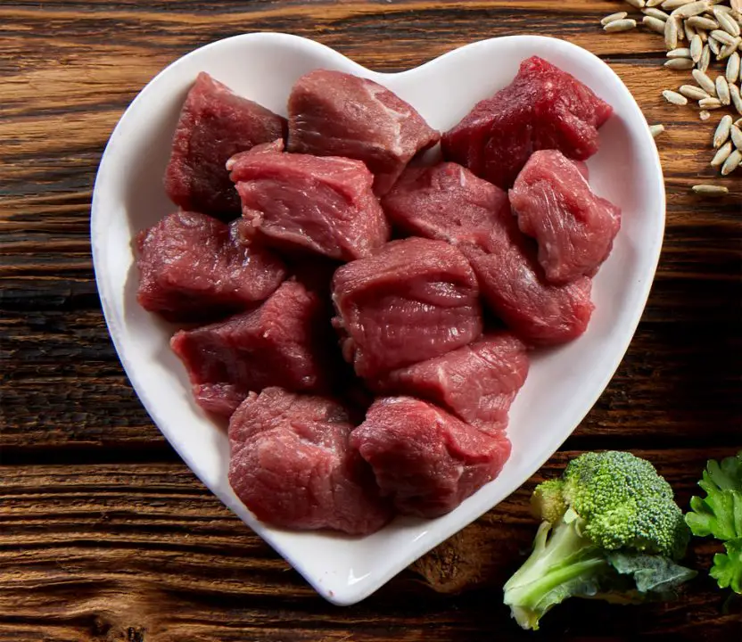 Raw Meat: The Completely Healthy Pet Diet