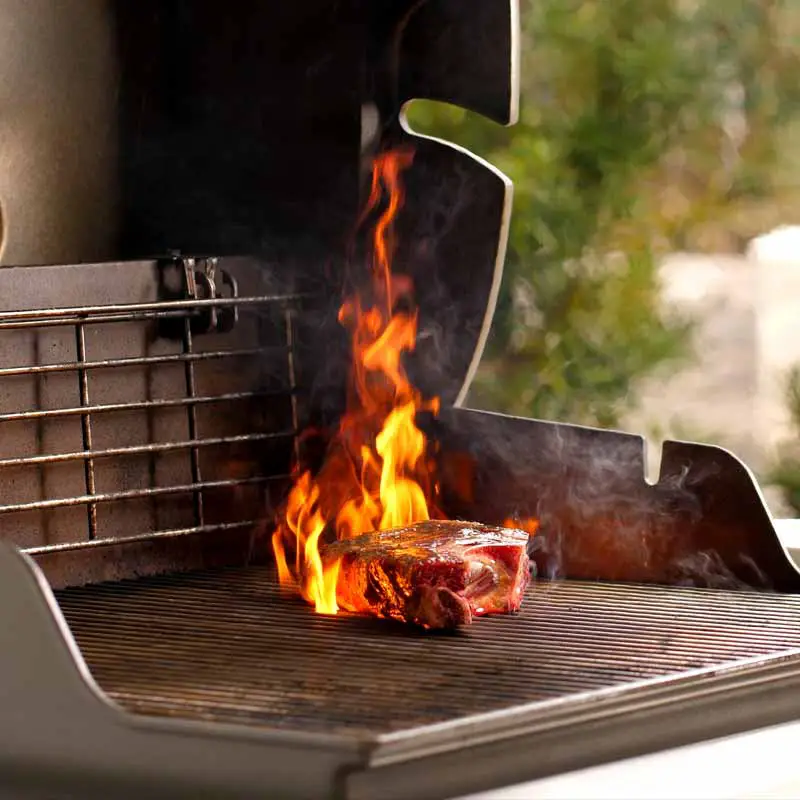 Should You Grill with the Lid Open or Closed ...