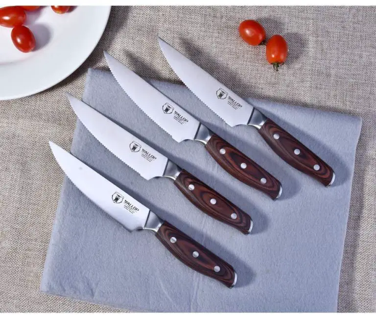 Top 10 Best Steak Knife Set Reviews 2020